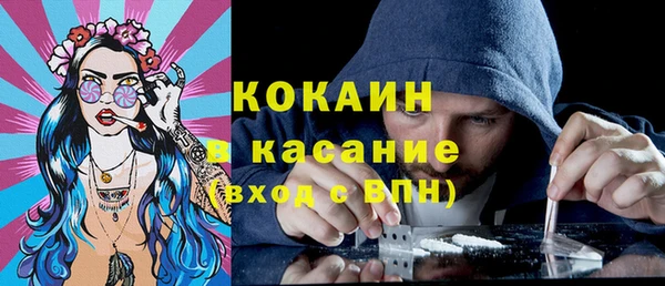 сатива Мегион