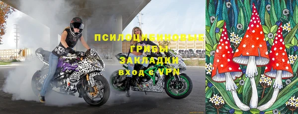 спиды Медногорск