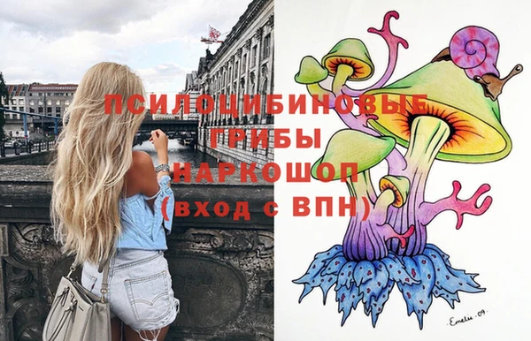 первитин Медвежьегорск