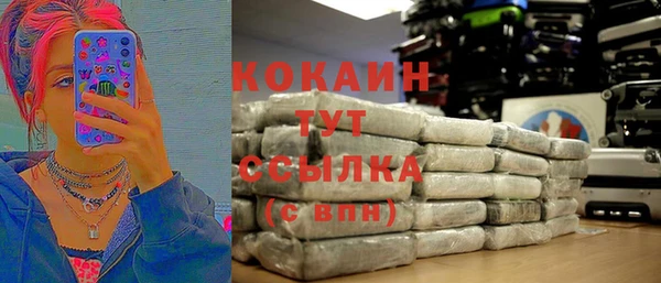 сатива Мегион