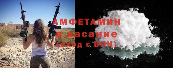 сатива Мегион