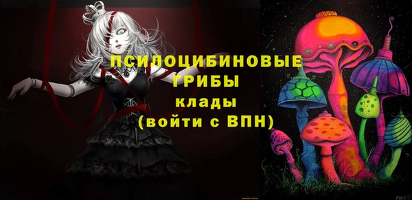 первитин Медвежьегорск