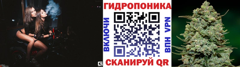 Купить закладки  Киреевск  Бошки Шишки конопля 
